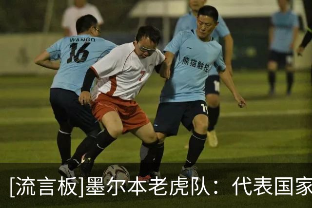 [流言板]墨尔本老虎队：代表国家出战是高水平体现，感谢舒予和明伶
